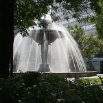 IMG_7699